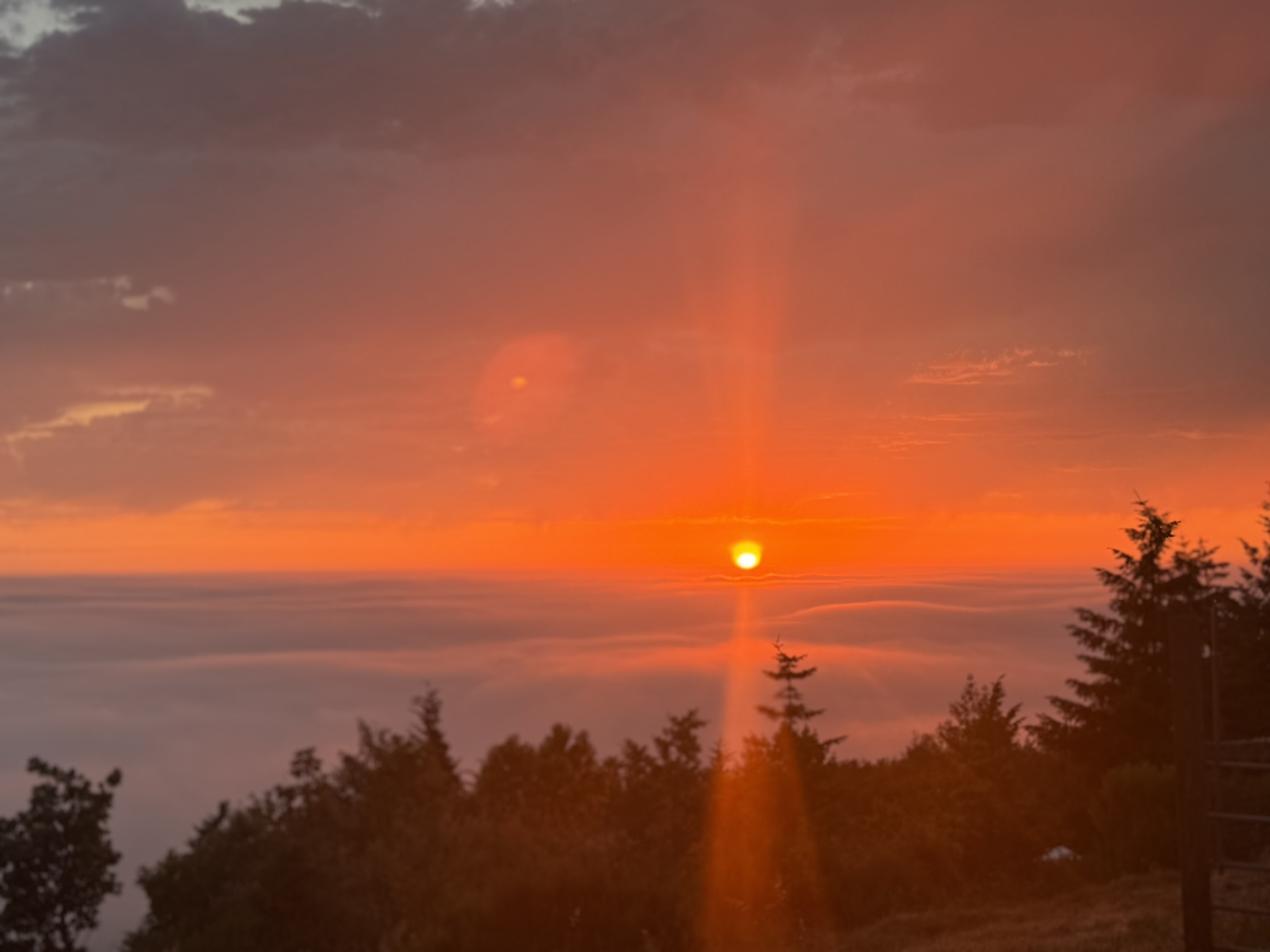Sunset from the hilltop, the sun dropping into a sea of fog above the treeline